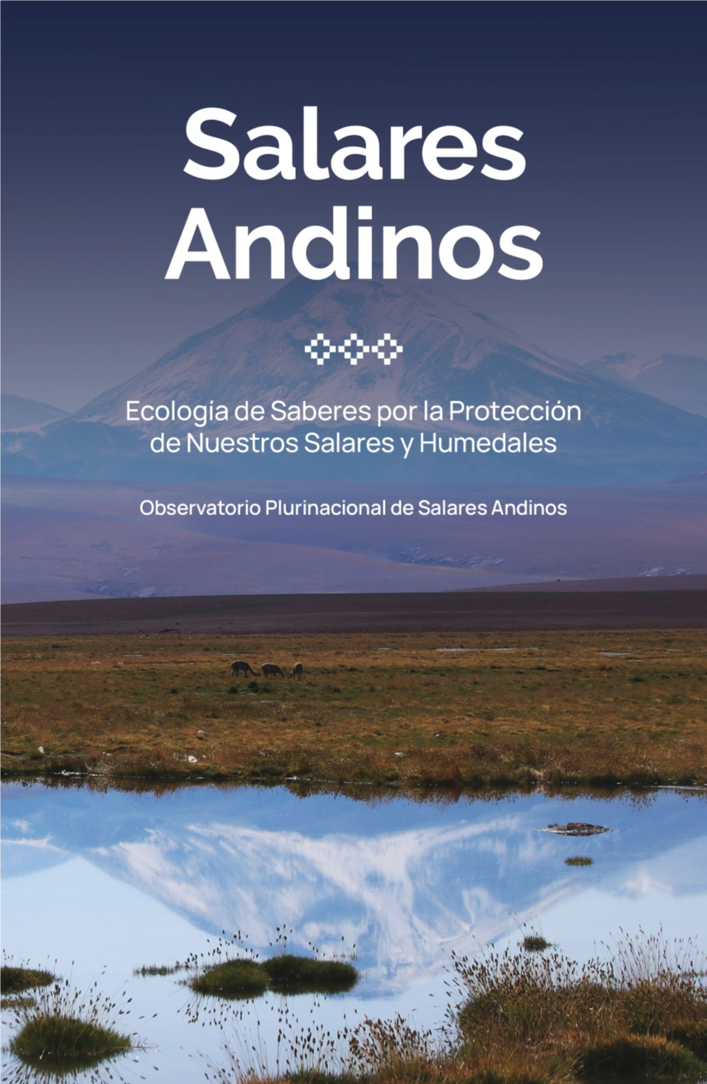 Libro Salares Andinos OPSAL.Pdf
