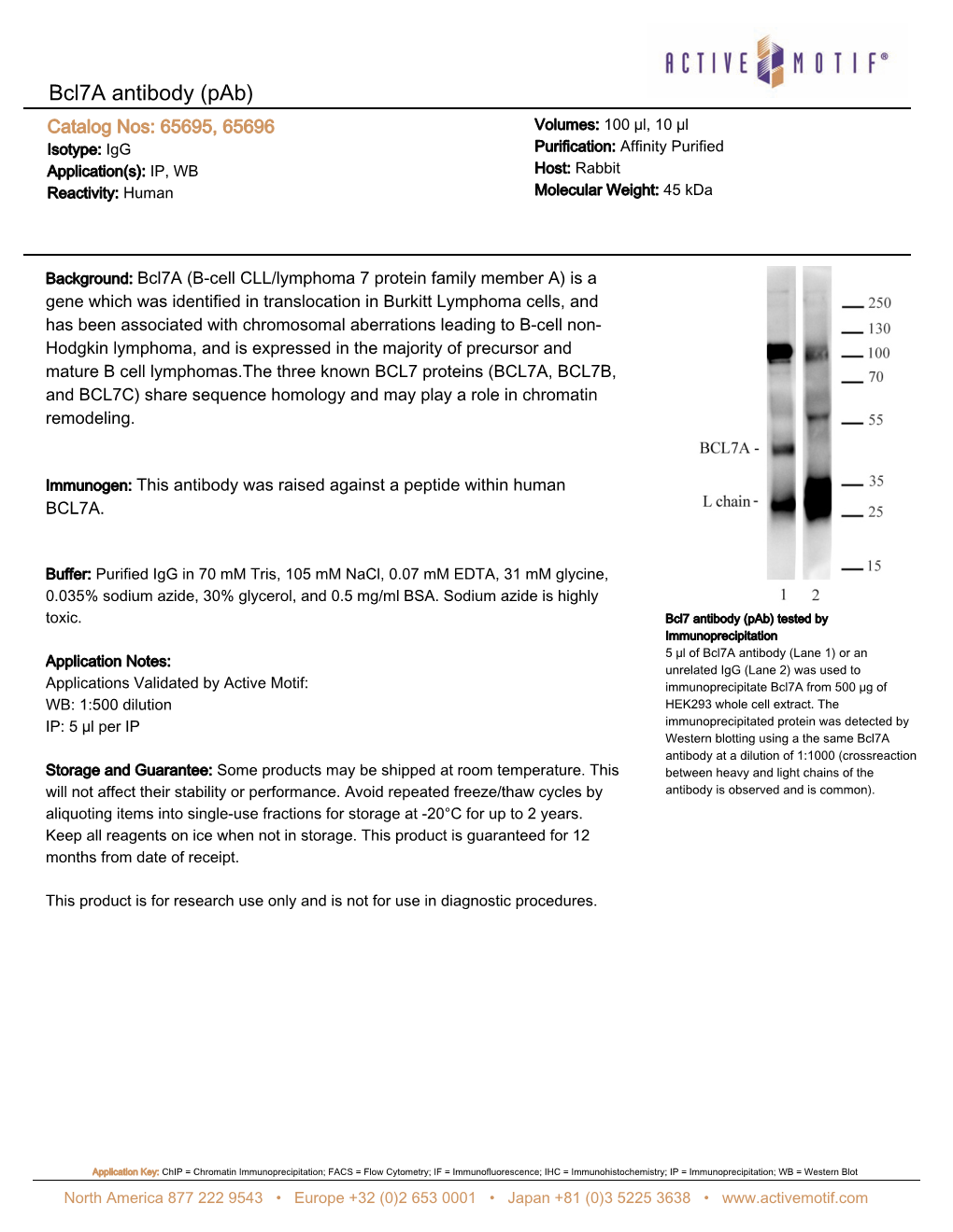 Active Motif Technical Data Sheet (TDS)