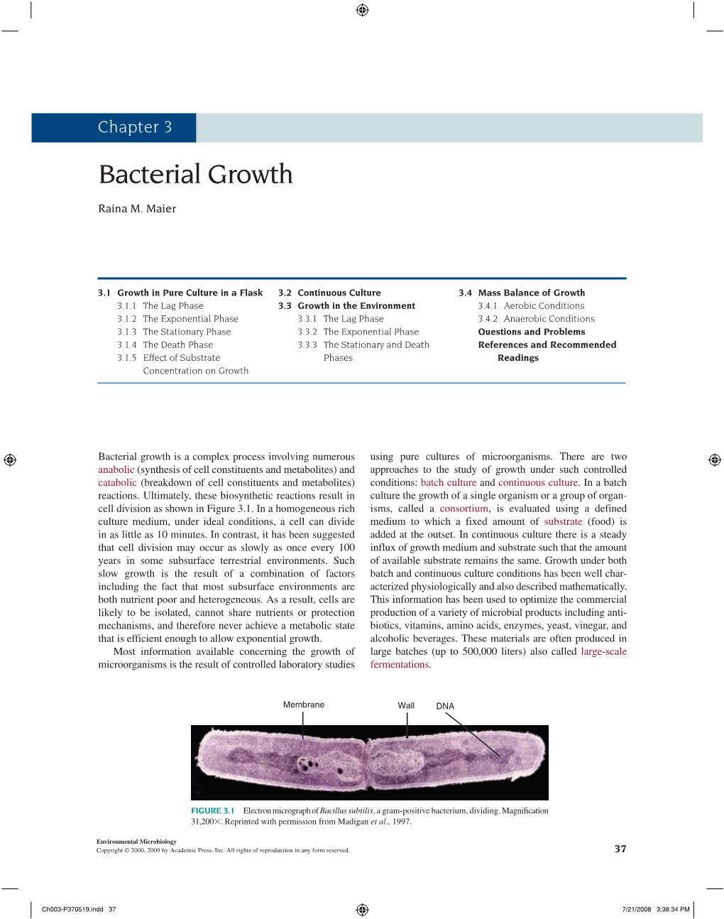 Bacterial Growth