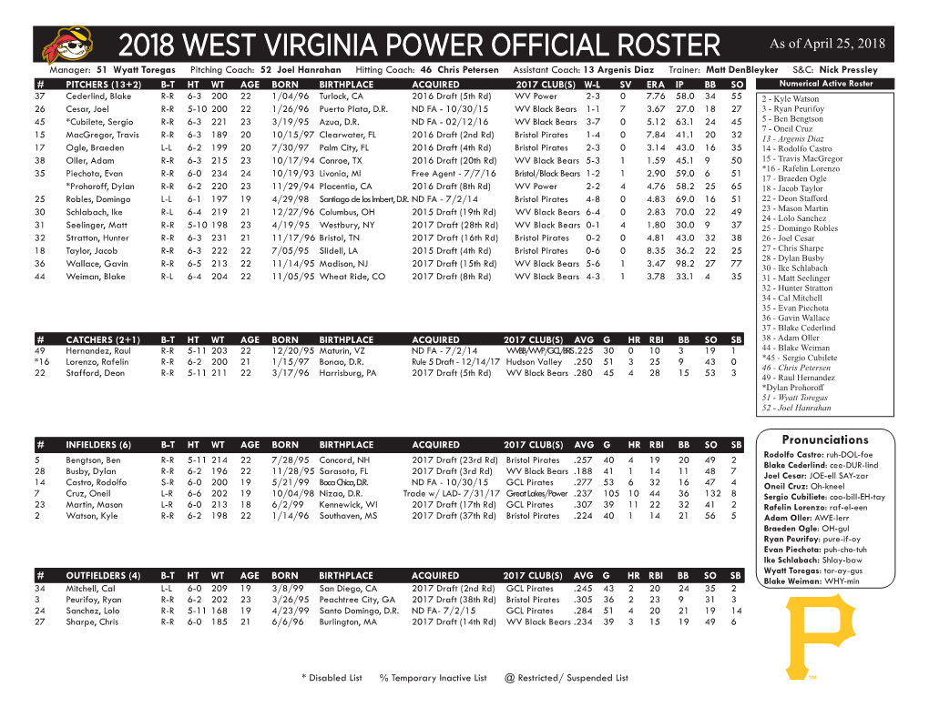 2018 West Virginia Power Official Roster