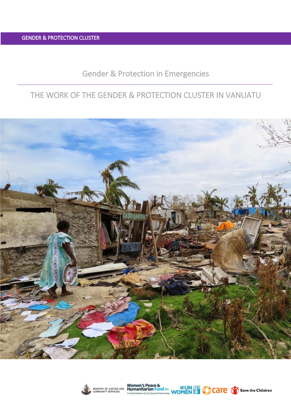 Gender & Protection in Emergencies the WORK of the GENDER & PROTECTION CLUSTER in VANUATU