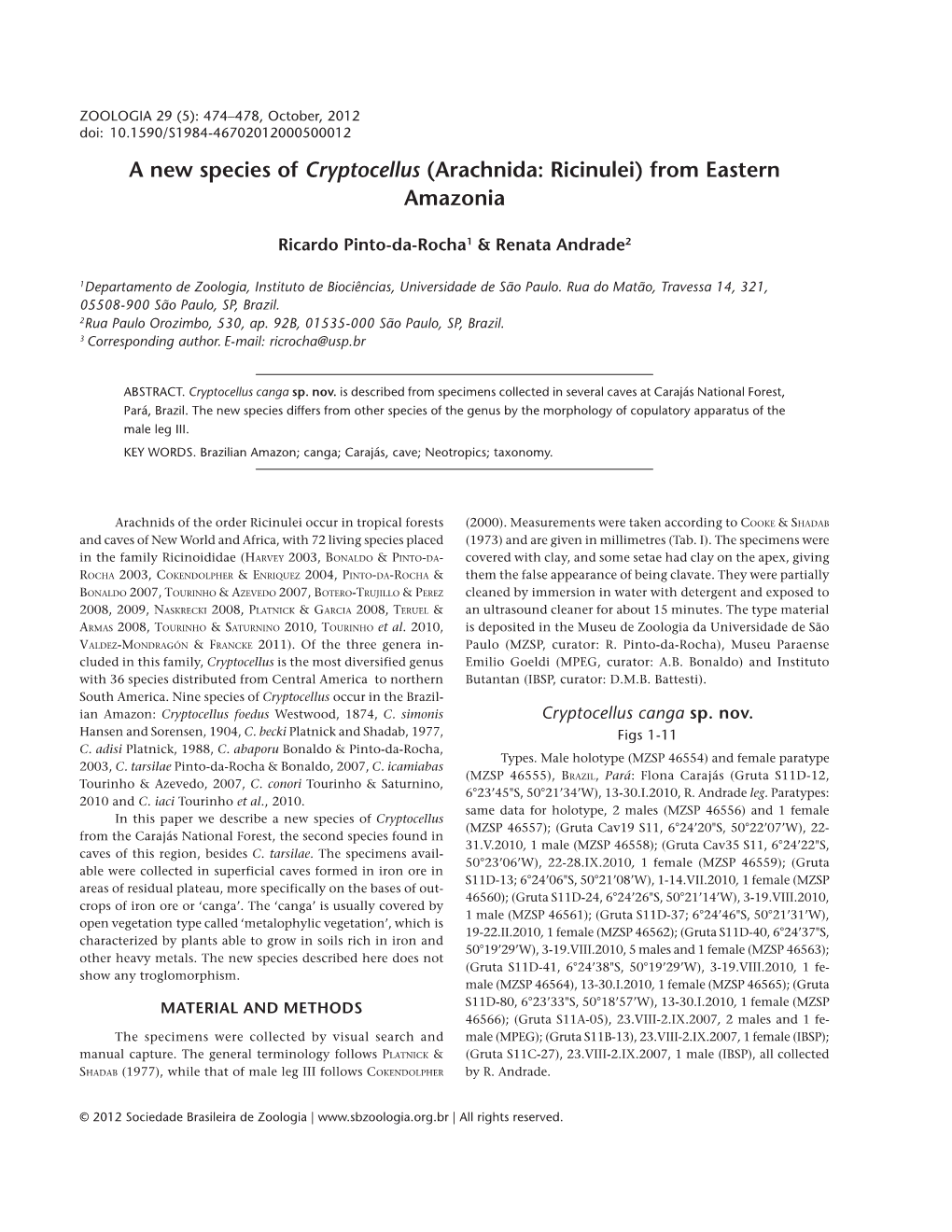 A New Species of Cryptocellus (Arachnida: Ricinulei) from Eastern Amazonia