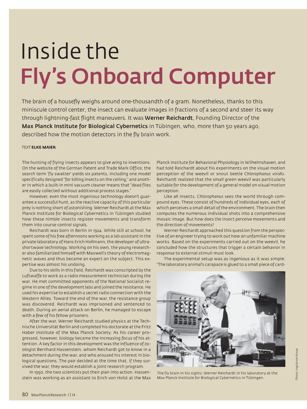 Inside the Fly's Onboard Computer