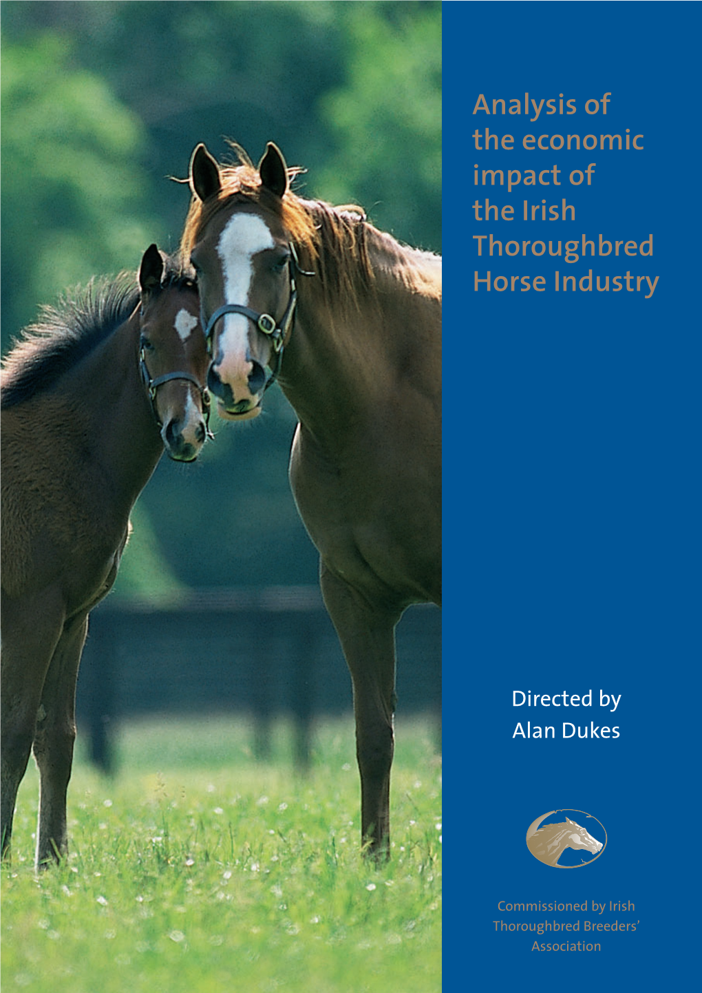 Analysis of the Economic Impact of the Irish Thoroughbred Horse Industry