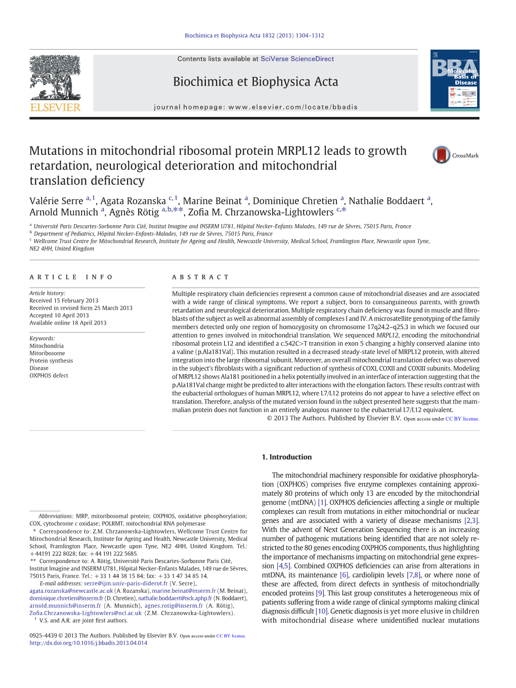 Biochimica Et Biophysica Acta 1832 (2013) 1304–1312