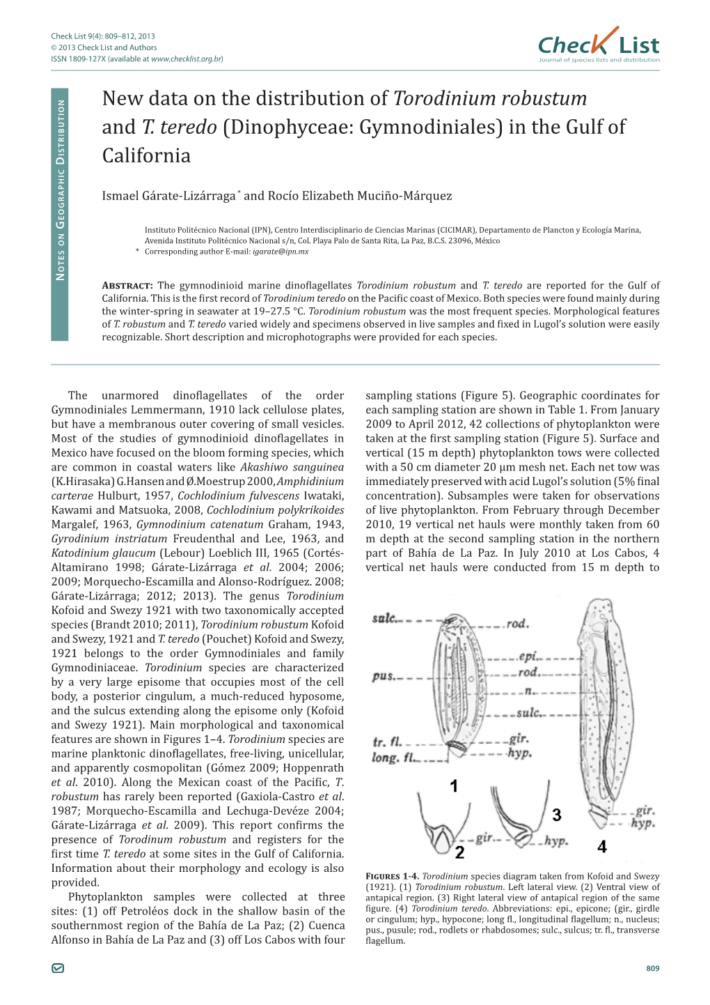 Torodinium Robustum and T