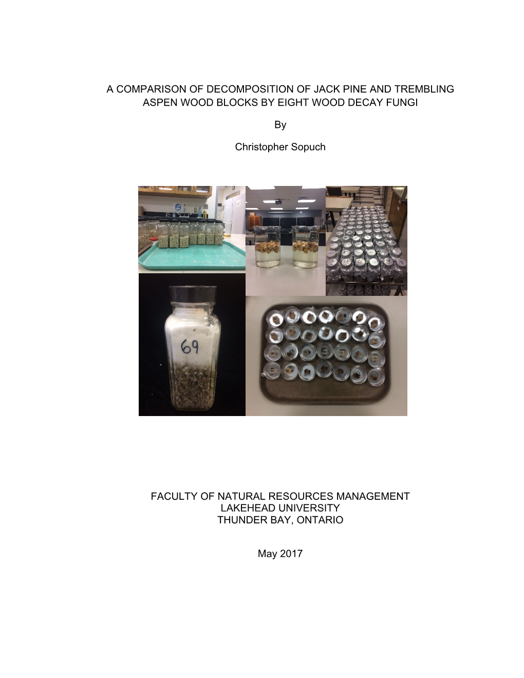 A Comparison of Decomposition of Jack Pine and Trembling Aspen Wood Blocks by Eight Wood Decay Fungi