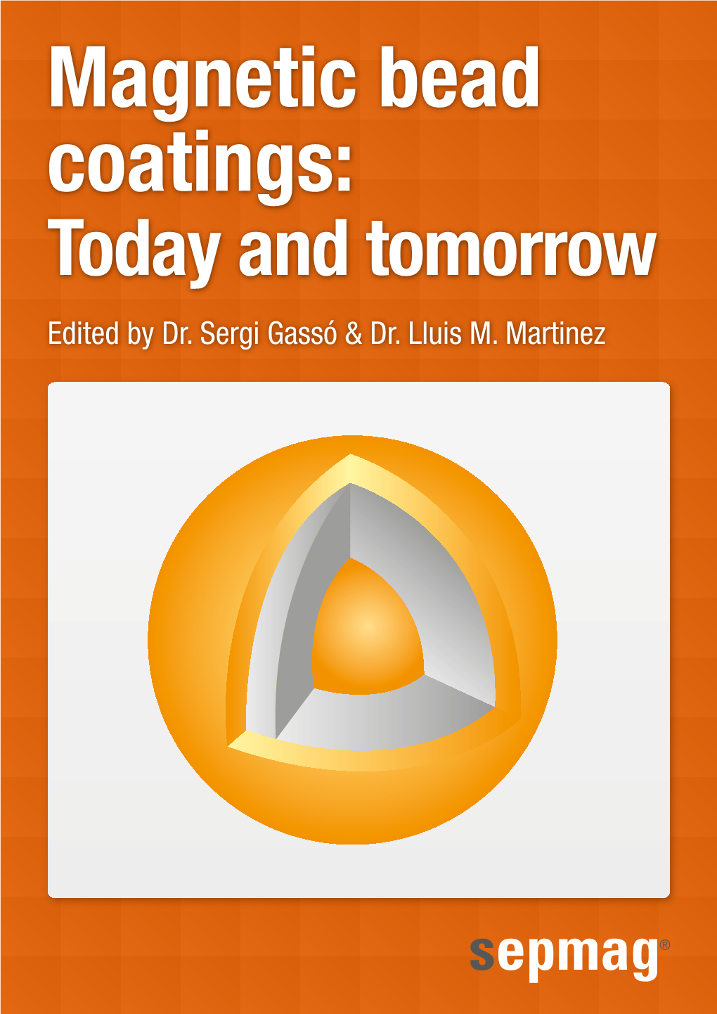 Magnetic Bead Coatings: Today and Tomorrow Edited by Dr