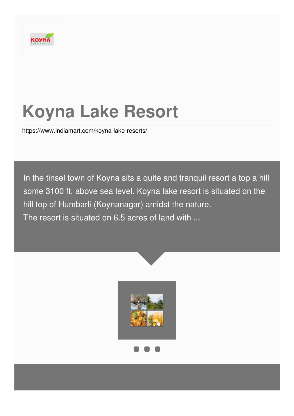 Koyna Lake Resort