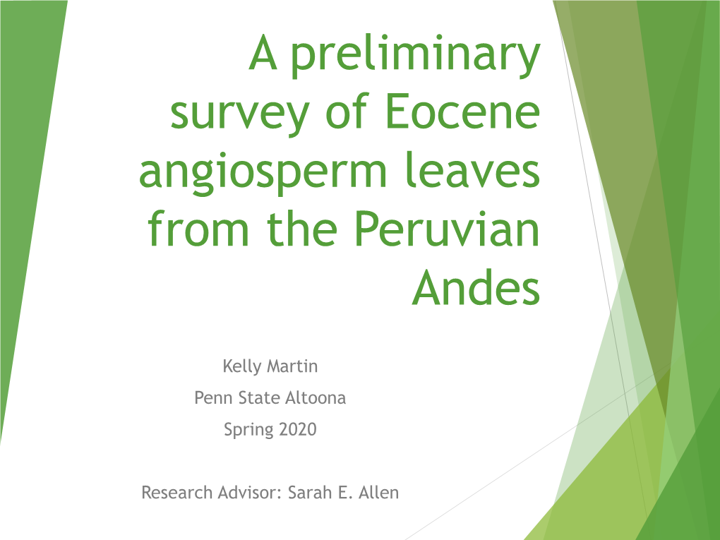 A Preliminary Survey of Eocene Angiosperm Leaves from the Peruvian Andes