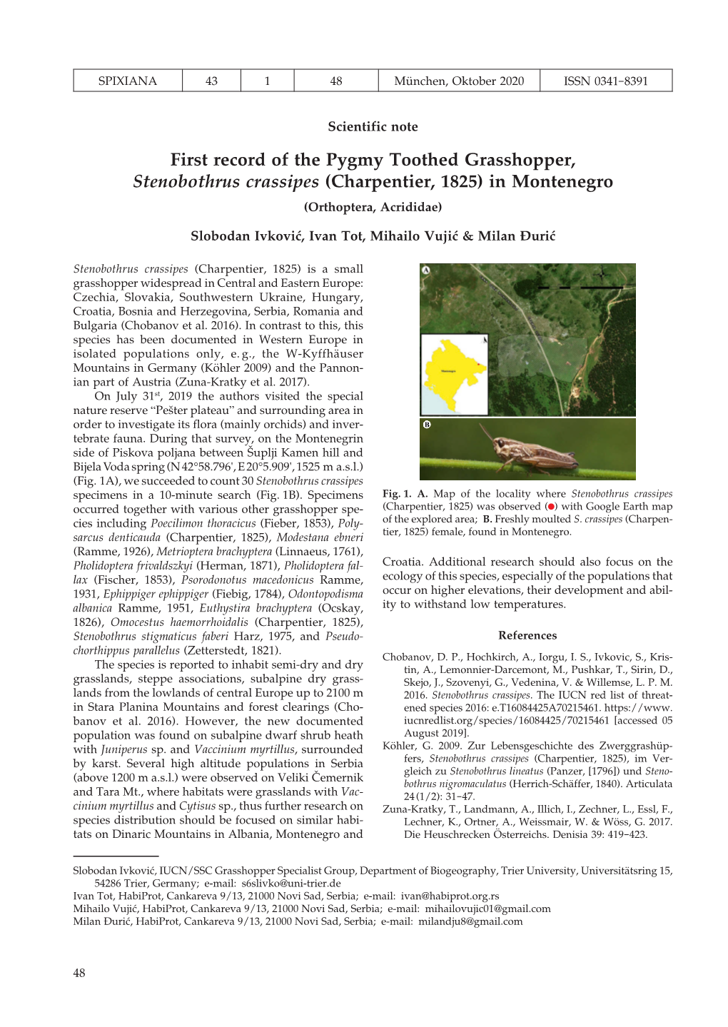 First Record of the Pygmy Toothed Grasshopper, Stenobothrus Crassipes (Charpentier, 1825) in Montenegro (Orthoptera, Acrididae)