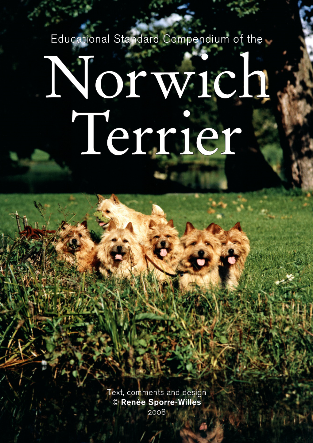 Educational Standard Compendium of the Norwich Terrier