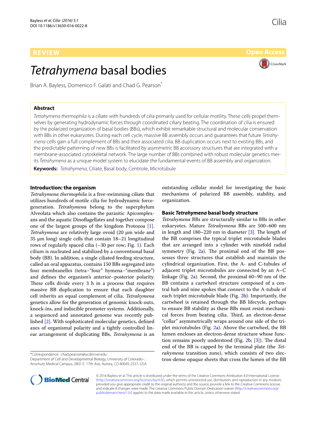 Tetrahymena Basal Bodies Brian A