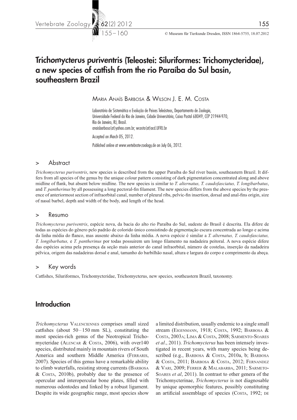 Trichomycterus Puriventris (Teleostei: Siluriformes: Trichomycteridae), a New Species of Catfish from the Rio Paraíba Do Sul Basin, Southeastern Brazil