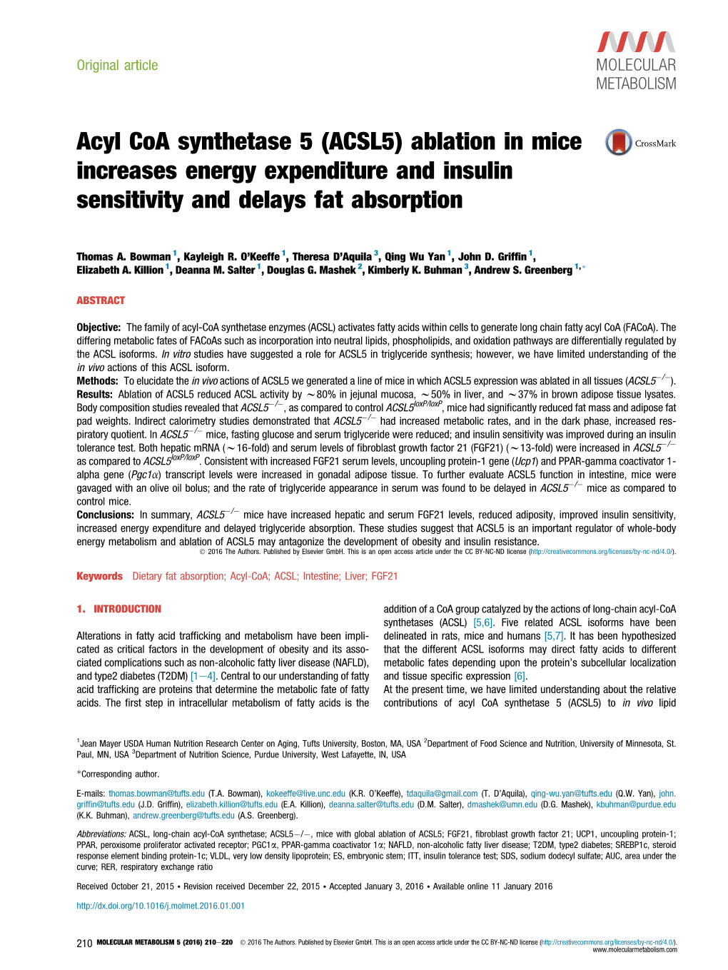 Acyl Coa Synthetase 5 (ACSL5) Ablation in Mice Increases Energy Expenditure and Insulin Sensitivity and Delays Fat Absorption