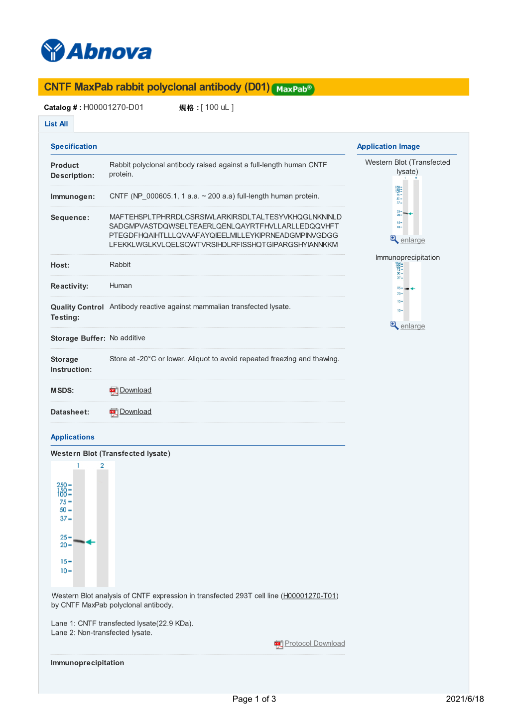 CNTF Maxpab Rabbit Polyclonal Antibody (D01)