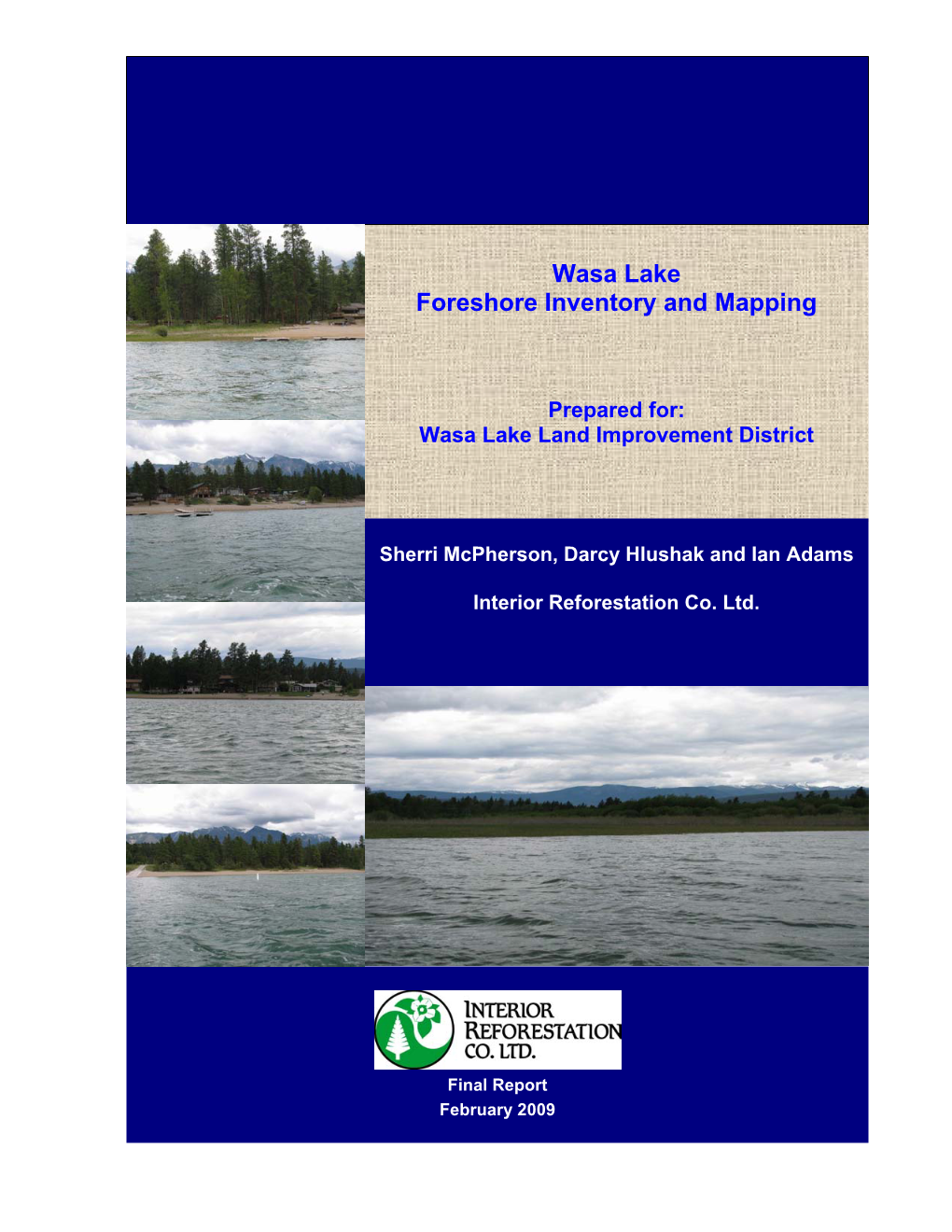 Wasa Lake Foreshore Inventory and Mapping