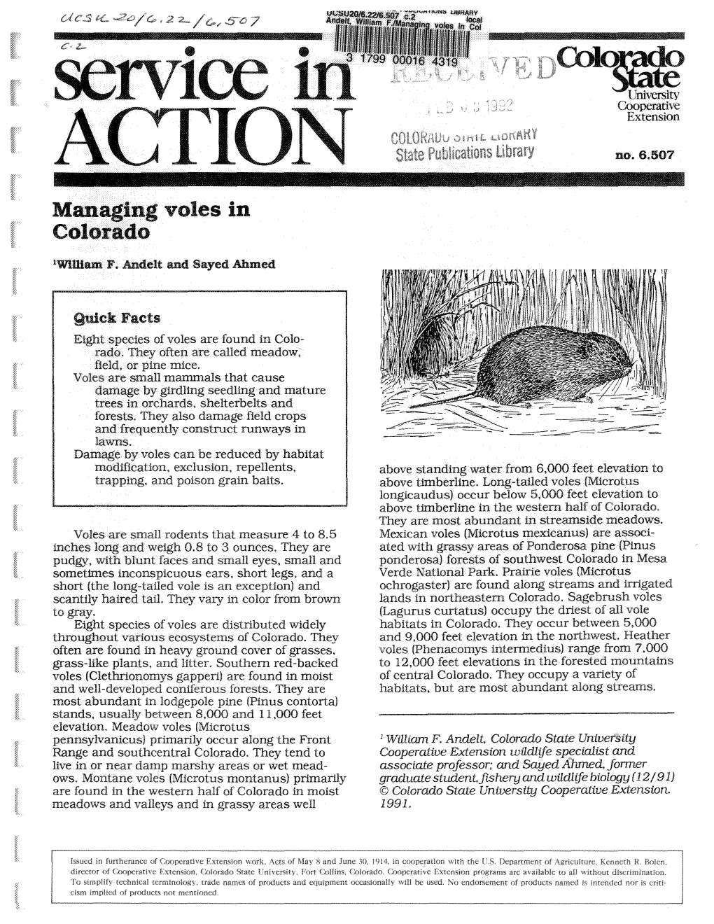 Managing Voles in Colorado