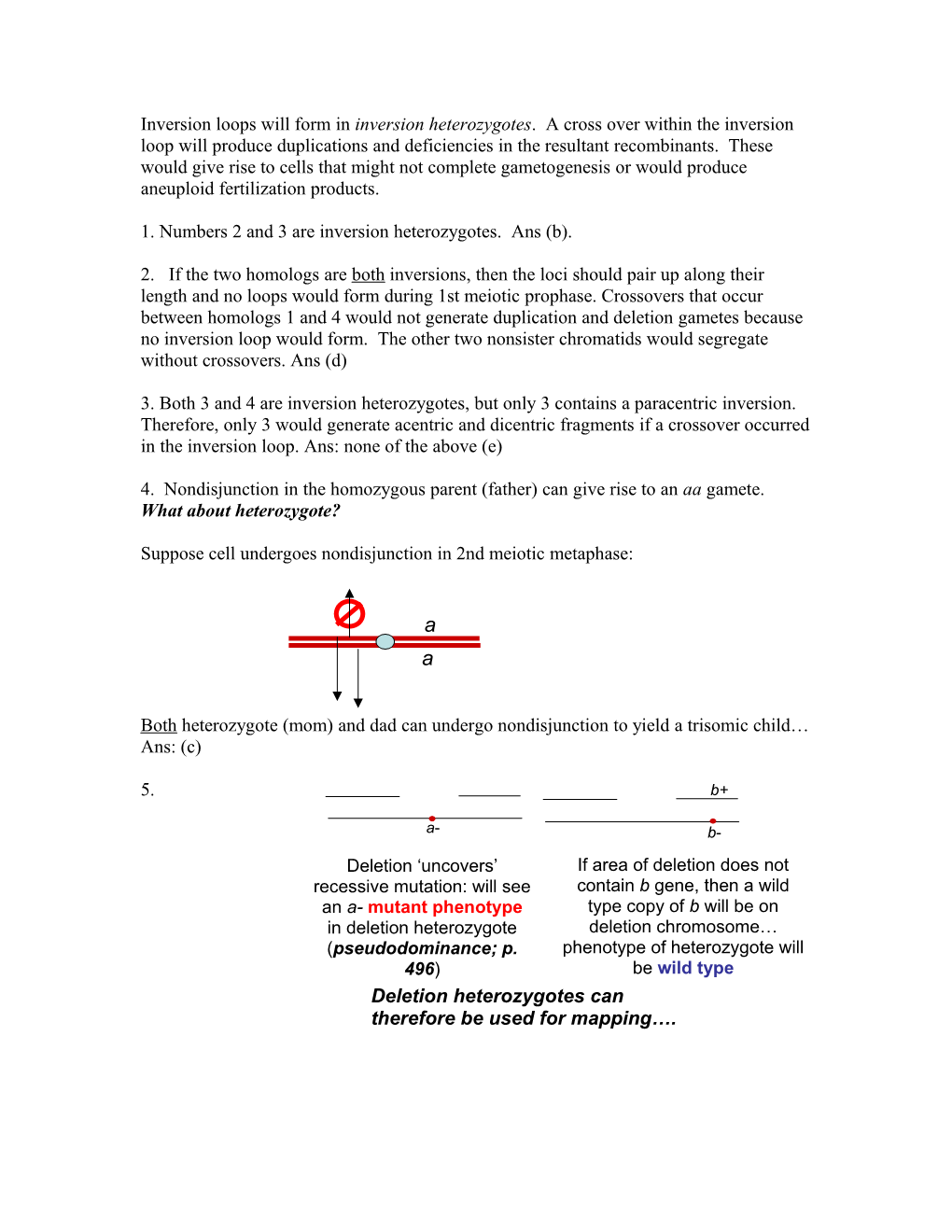 Inversion Loops Will Form in Inversion Heterozygotes