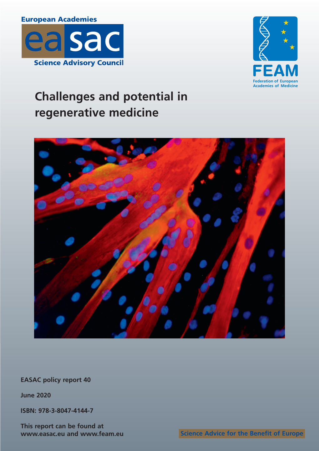Challenges and Potential in Regenerative Medicine