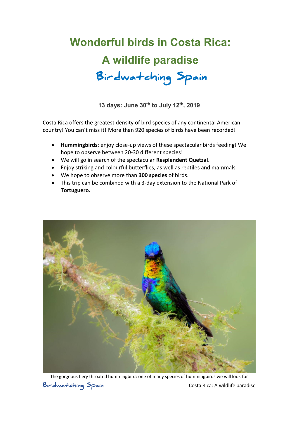 Wonderful Birds in Costa Rica: a Wildlife Paradise Birdwatching Spain