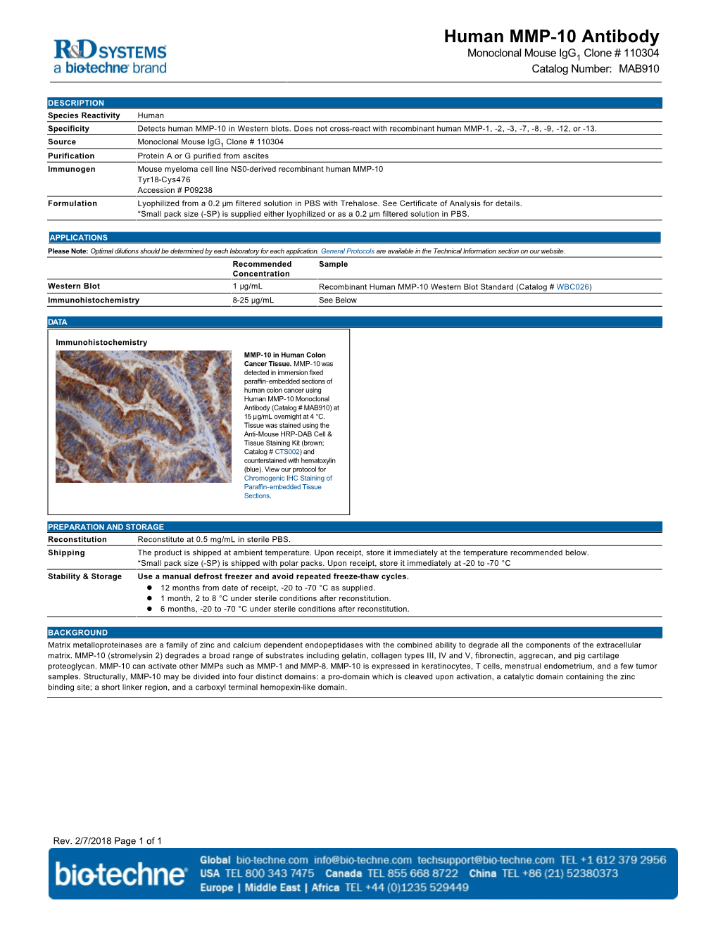 Human MMP-10 Antibody