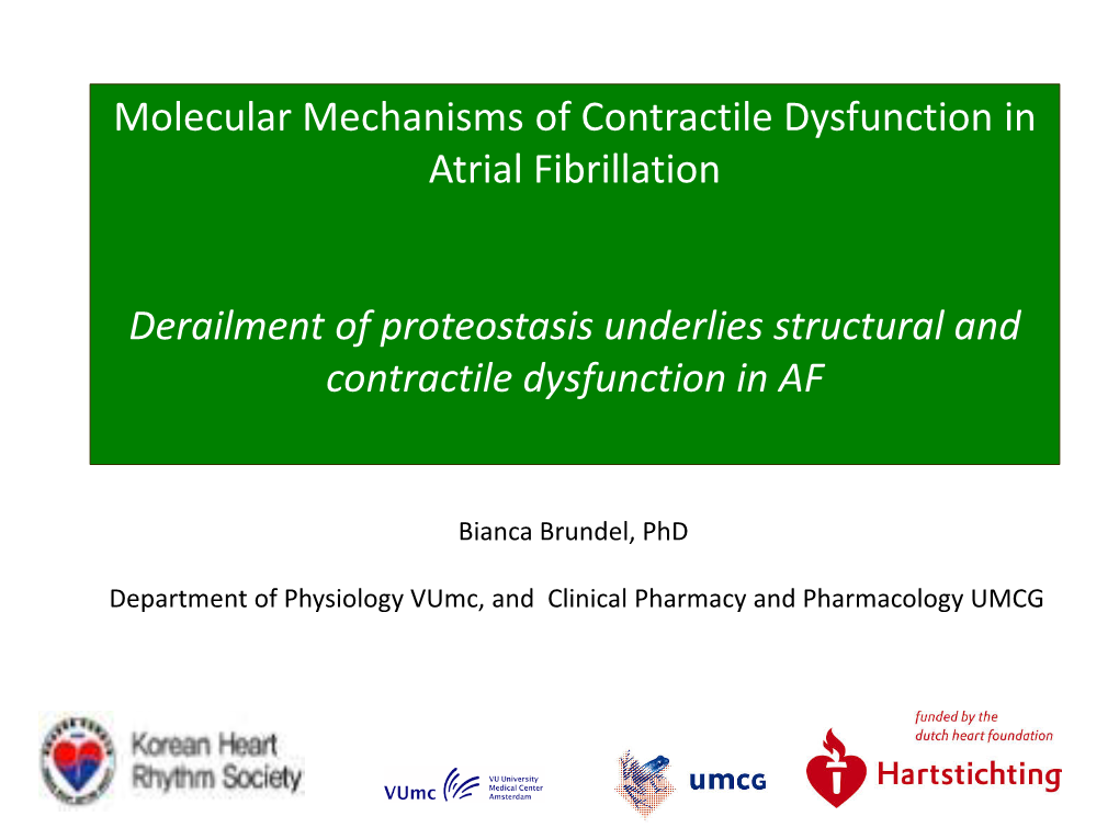 Molecular Mechanisms of Contractile Dysfunction in Atrial Fibrillation