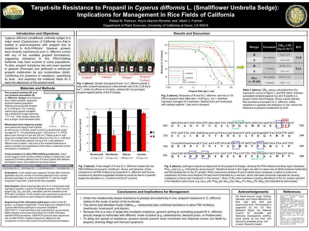 Target-Site Resistance to Propanil in Cyperus Difformis L. (Smallflower Umbrella Sedge): Implications for Management in Rice Fields of California Rafael M