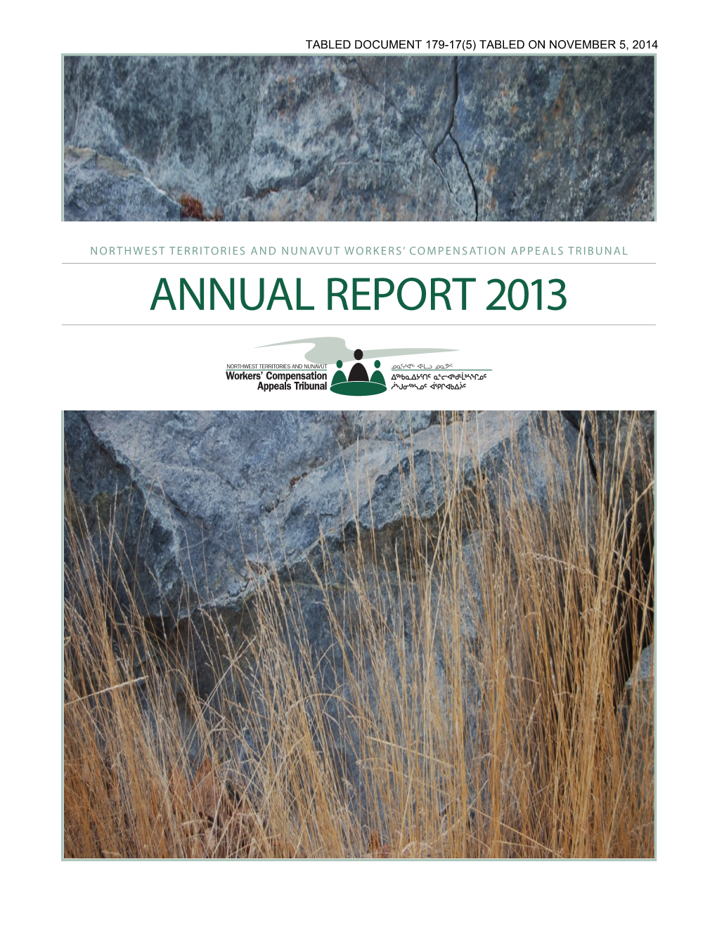 Annual Report 2013