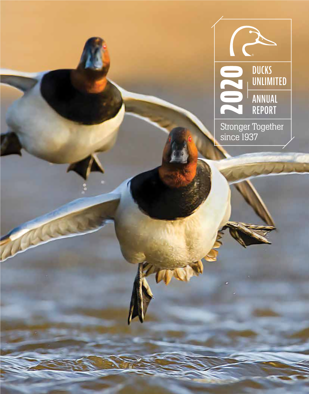 Ducks Unlimited Annual Report
