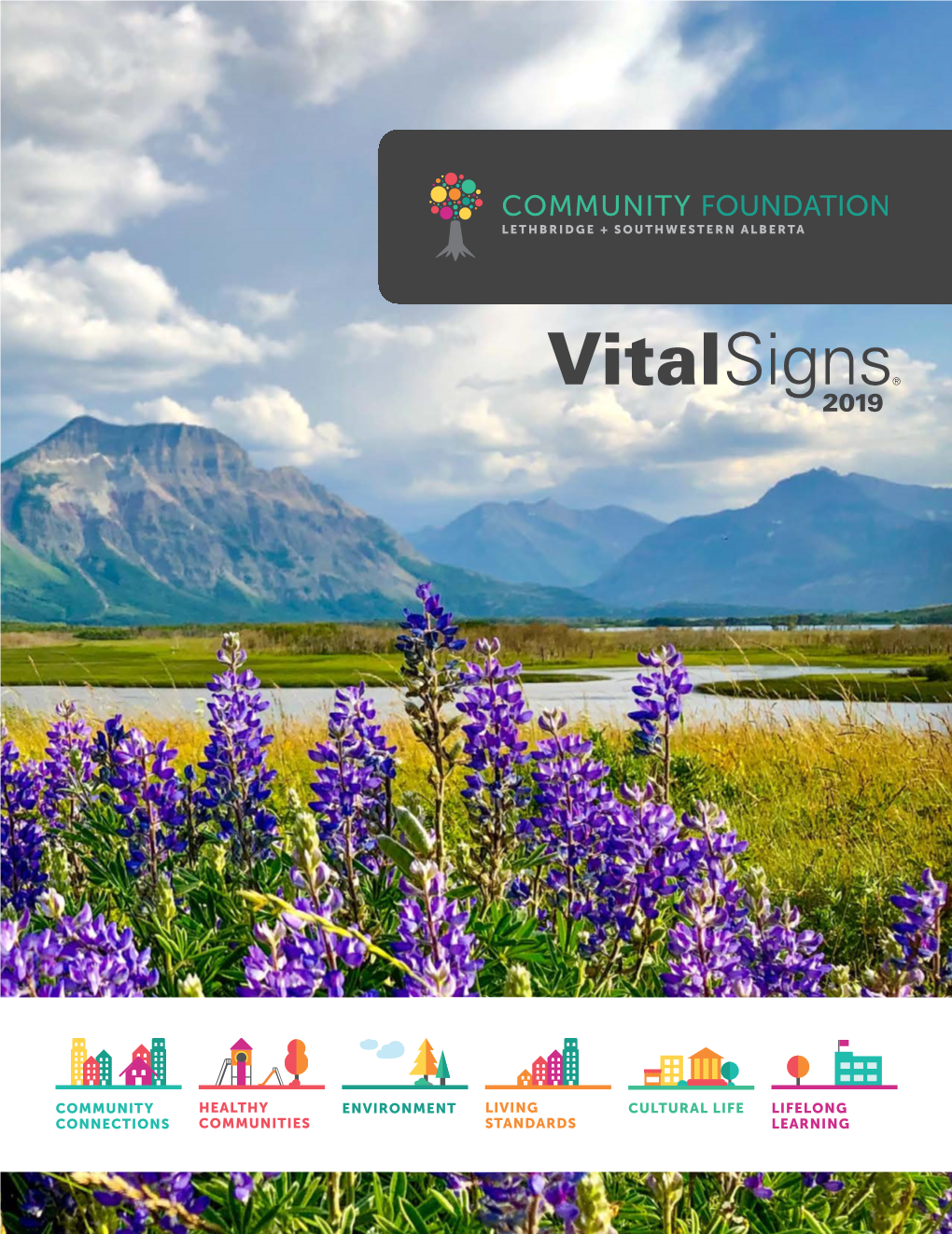 Vital Signs 2019 Alberta Is a Canada Revenue Agency-Registered Charity and the Ninth-Oldest of Canada’S 191 Community Foundations