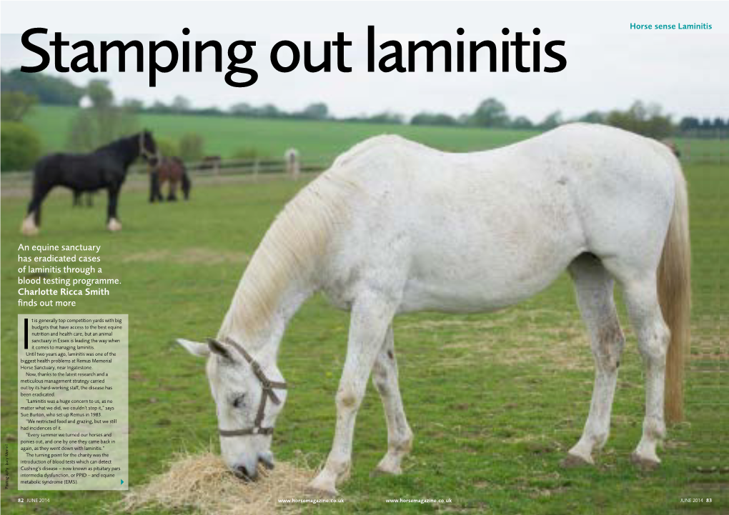 An Equine Sanctuary Has Eradicated Cases of Laminitis Through a Blood Testing Programme