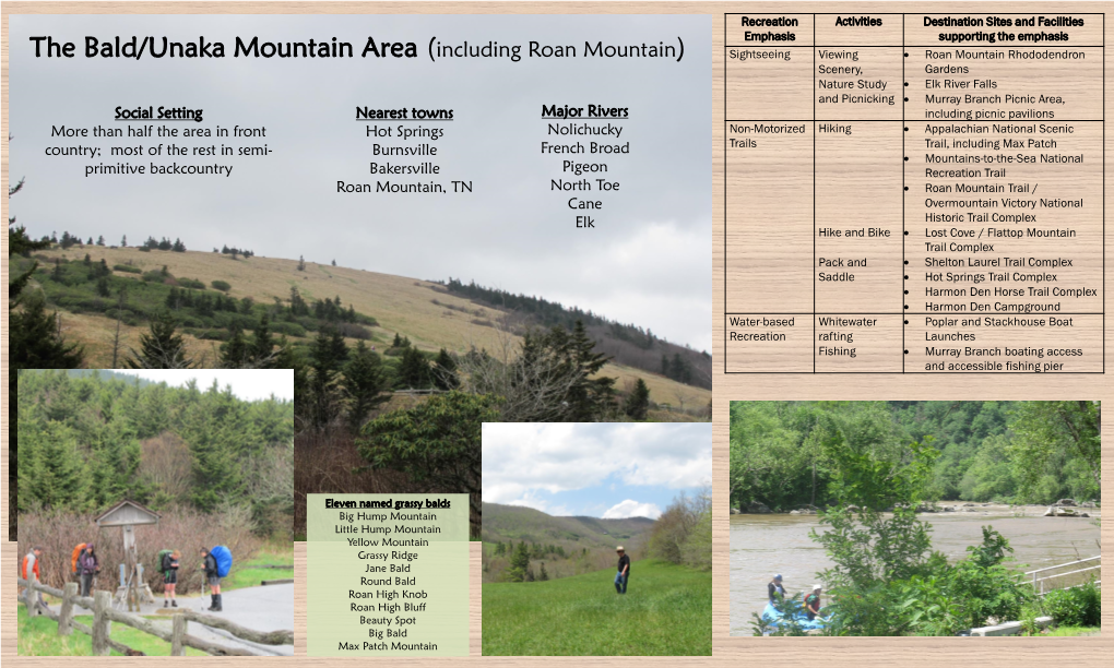 The Bald/Unaka Mountain Area (Including Roan Mountain)