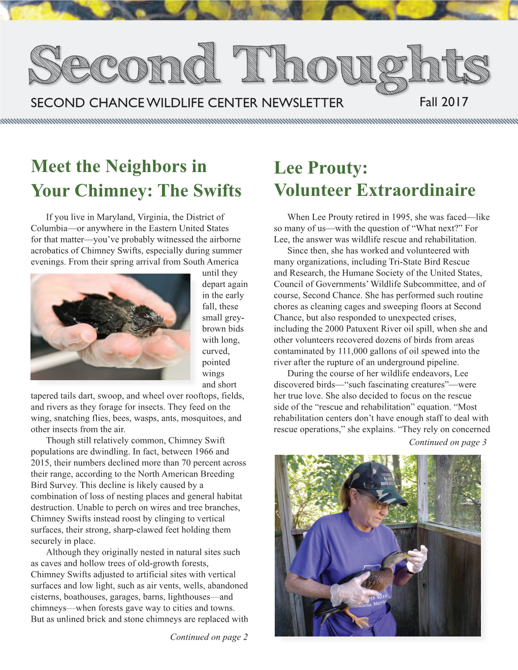 Meet the Neighbors in Your Chimney: the Swifts Lee Prouty