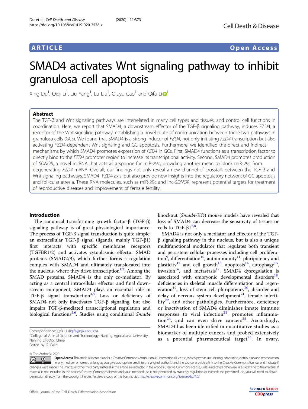 SMAD4 Activates Wnt Signaling Pathway to Inhibit Granulosa Cell Apoptosis Xing Du1,Qiqili1,Liuyang1,Luliu1,Qiuyucao1 and Qifa Li 1