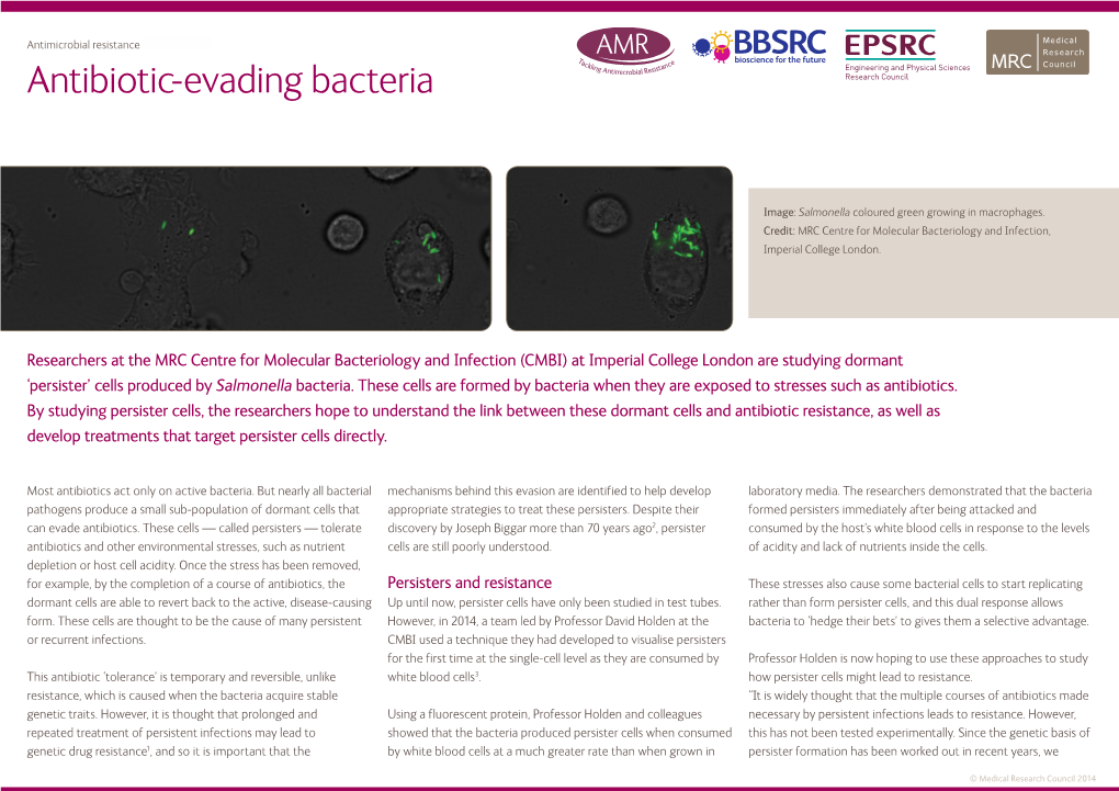 Antibiotic-Evading Bacteria