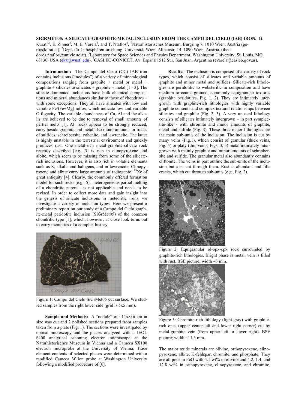 A Silicate-Graphite-Metal Inclusion from the Campo Del Cielo (Iab) Iron