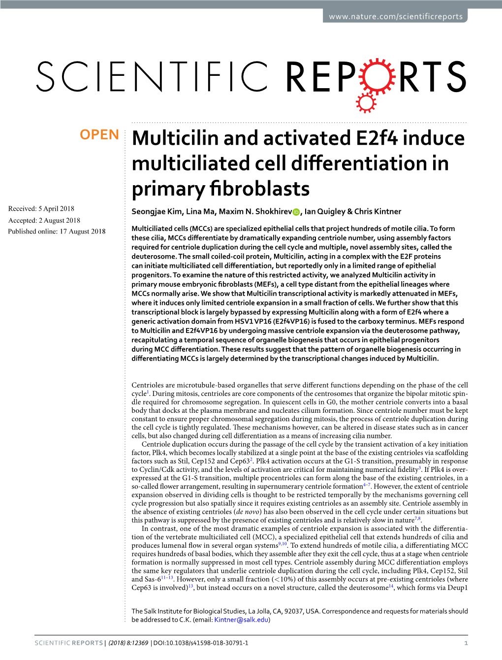 Multicilin and Activated E2f4 Induce Multiciliated Cell Differentiation In