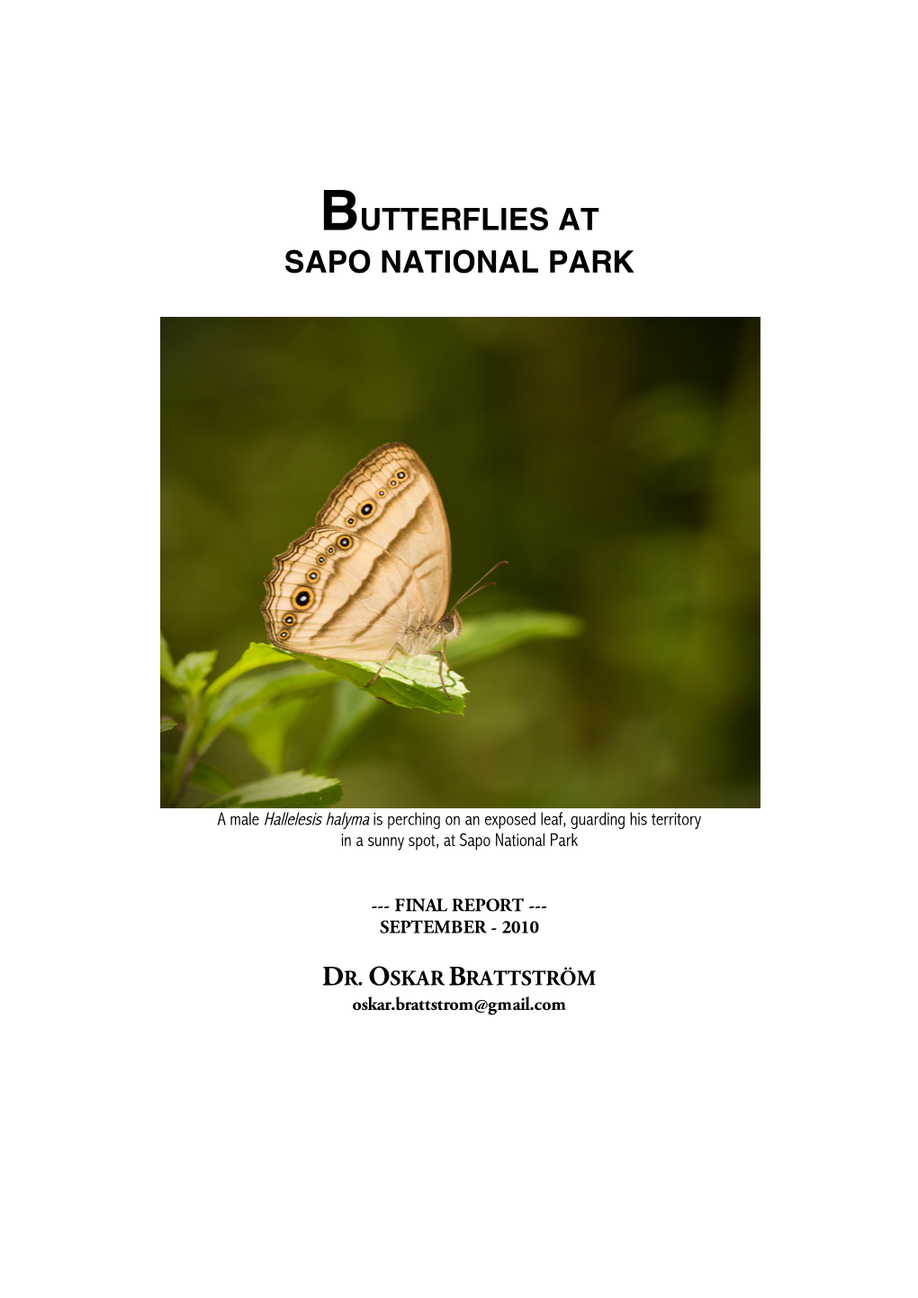 Butterflies at Sapo National Park