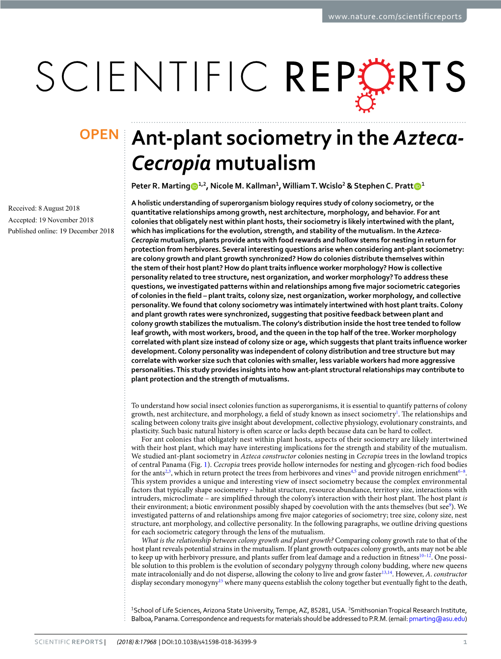 Ant-Plant Sociometry in the Azteca-Cecropia Mutualism