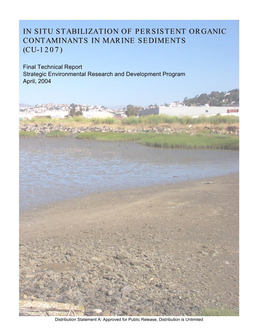 In-Situ Stabilization of Persistent Organic Contaminants in Marine