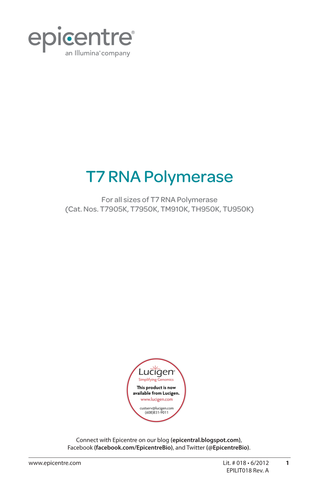 Protocol for T7 RNA Polymerase