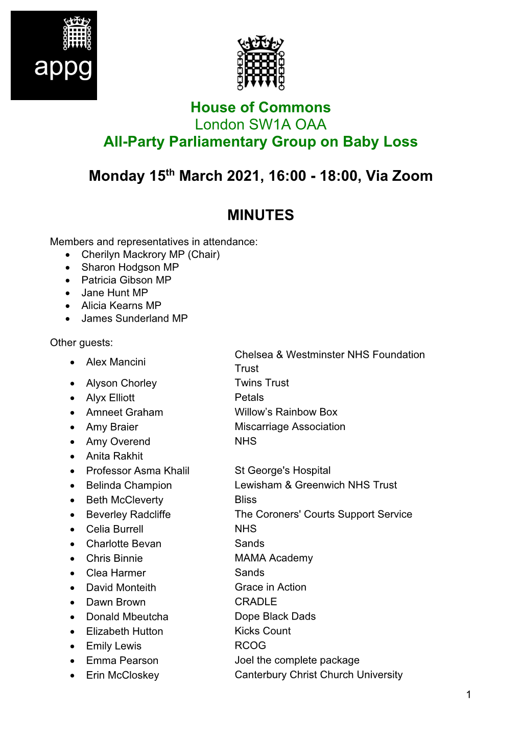 Minutes of the APPG on Baby Loss (15Th March 2021)