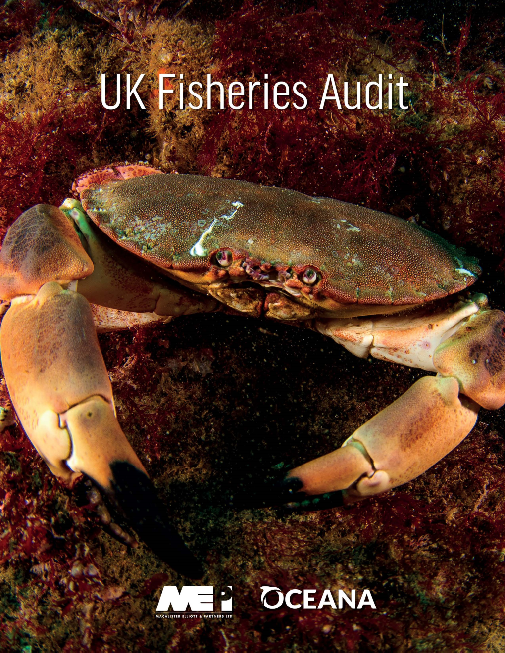 Oceana Uk Fisheries Audit.Pdf