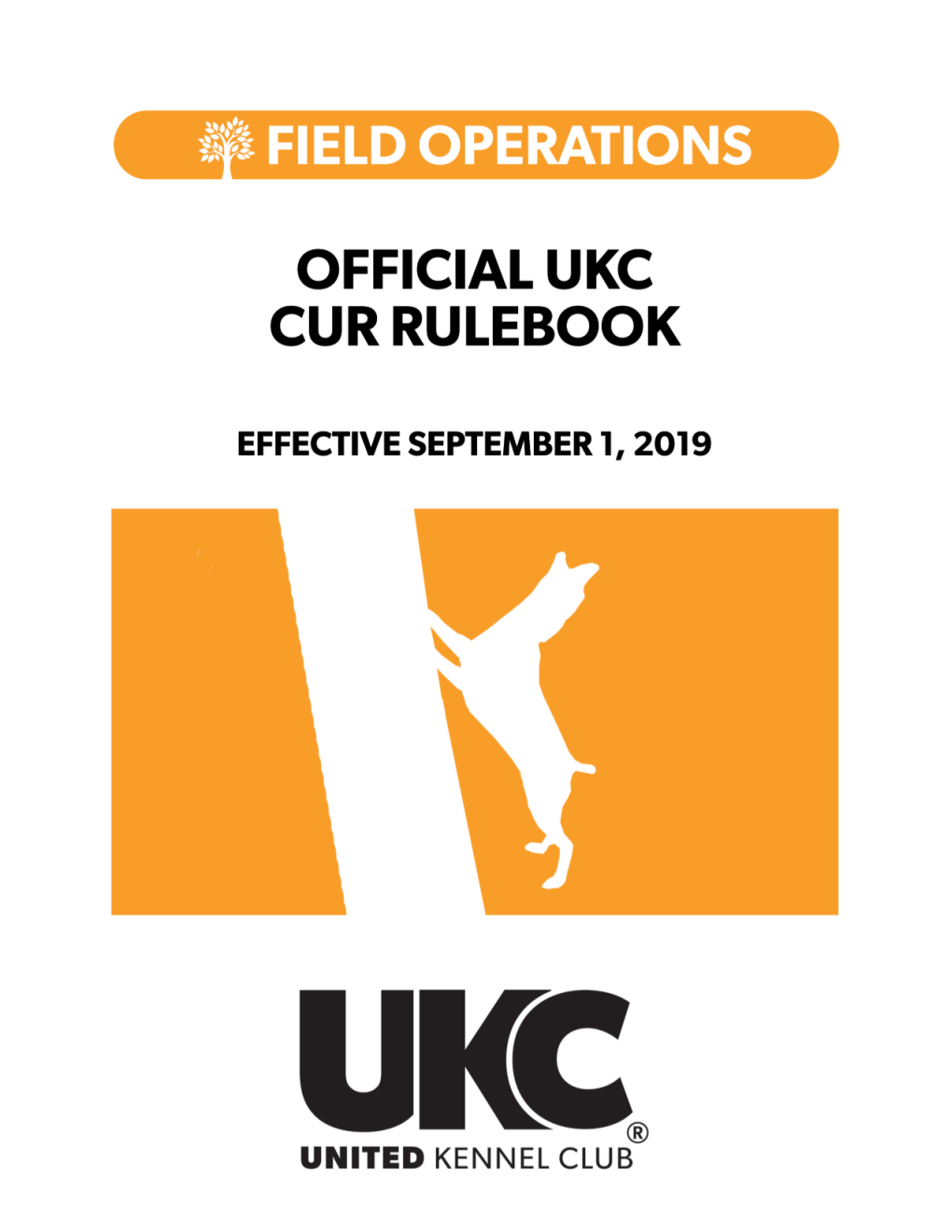 Cur-Rulebook.Pdf