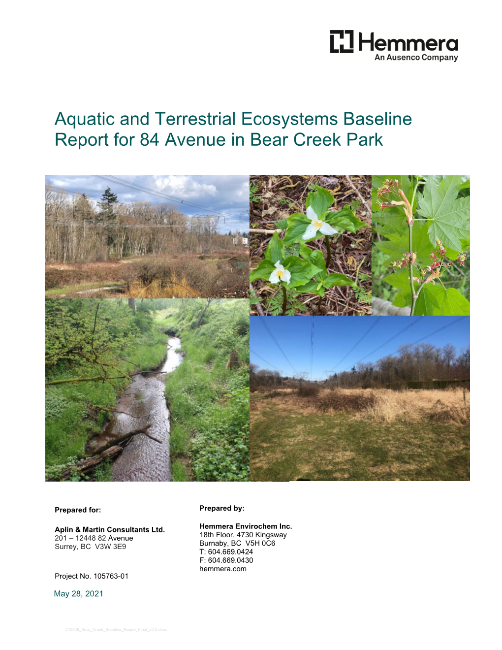 Aquatic and Terrestrial Ecosystems Baseline Report for 84 Avenue in Bear Creek Park