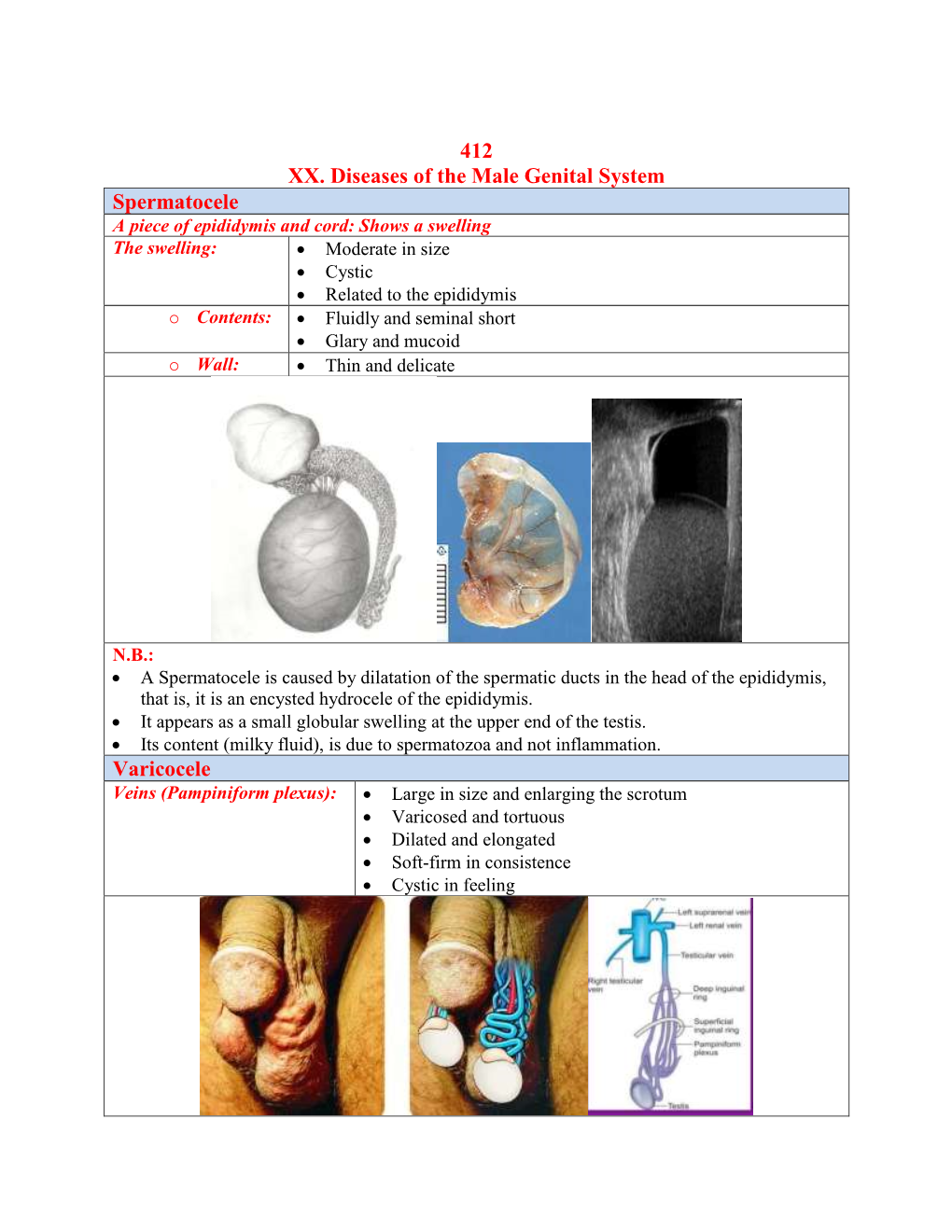 412 XX. Diseases of the Male Genital System Spermatocele