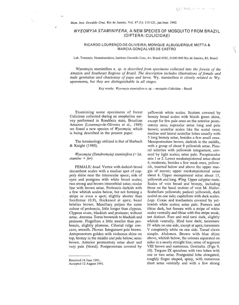 WYEOMYIA STAMINIFERA, a NEW SPECIES of MOSQUITO from Brazil (DIPTERA: CULKIDAE)