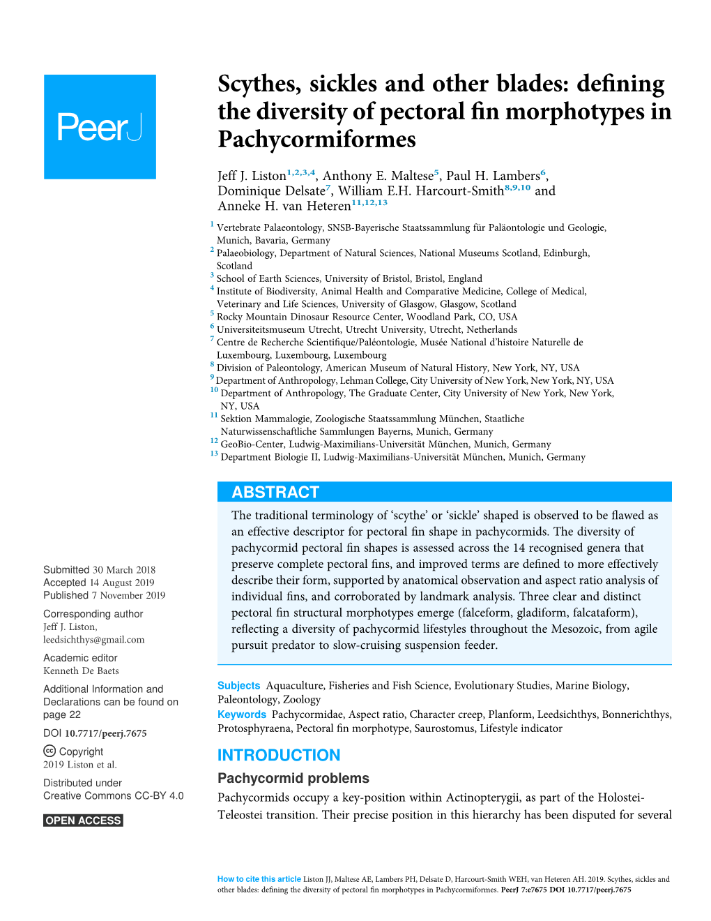 Defining the Diversity of Pectoral Fin Morphotypes In