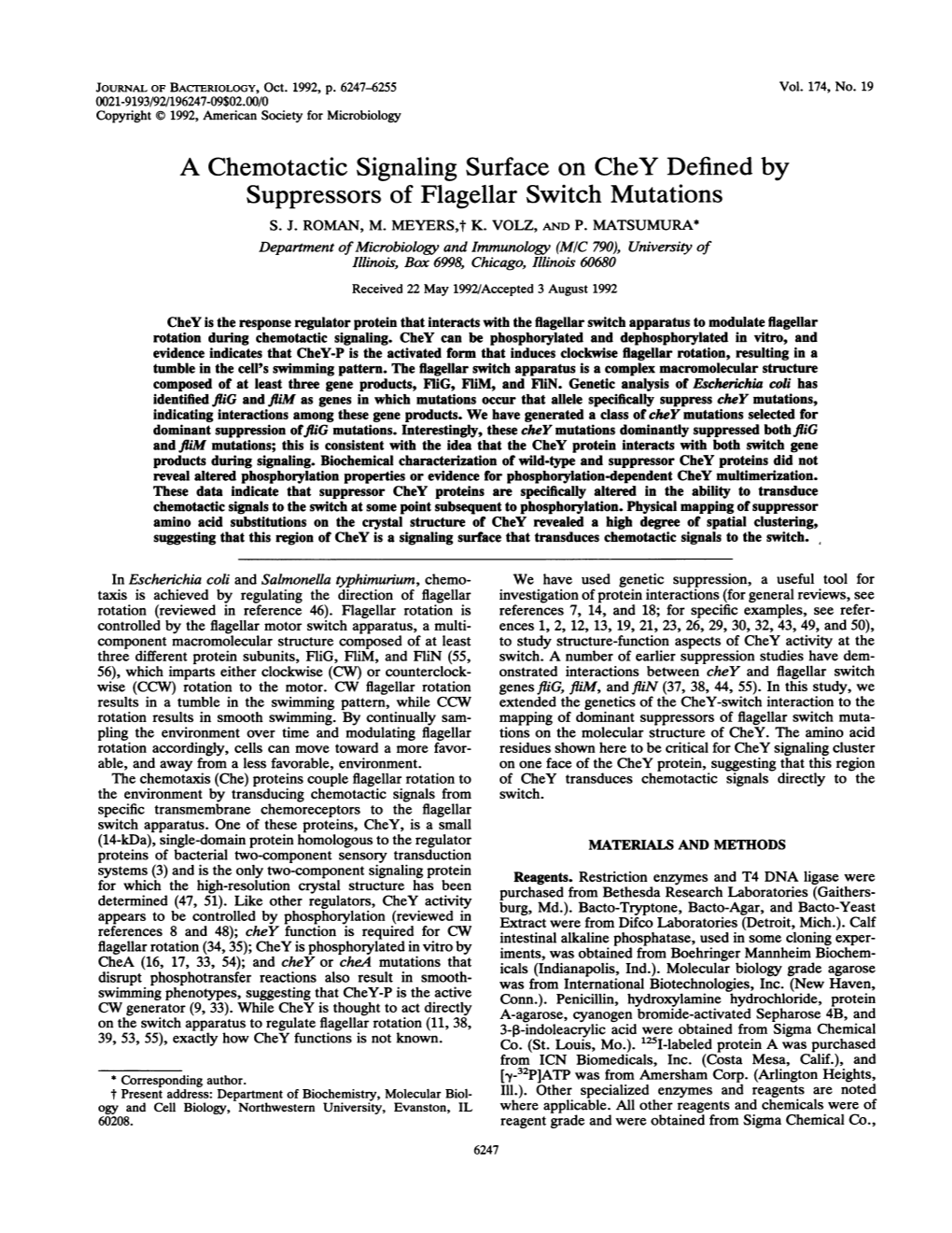 A Chemotactic Signaling Surface on Chey Defined by Suppressors of Flagellar Switch Mutations S